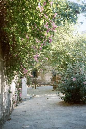 Athen - Plaka