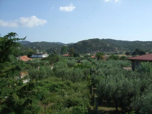 Und wieder ein Blick auf das Hinterland: Lockere Bebauung, viel Grün und viel Platz...