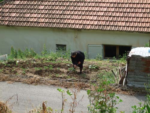 Gartenarbeit bei Thirio (unterhalb der Kirche)