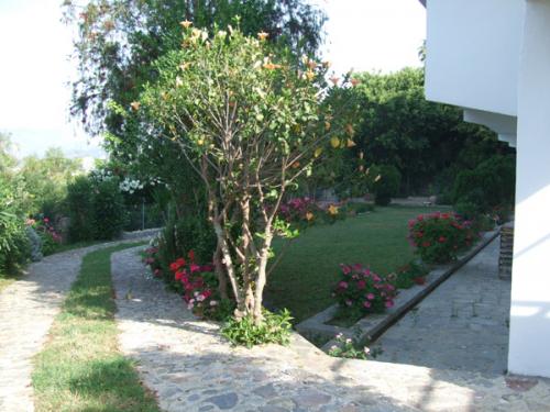 Garten des Hotel Lofos in Plakias