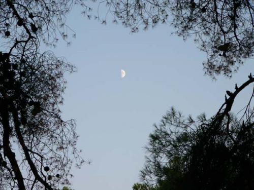 Epidaurus - Mond