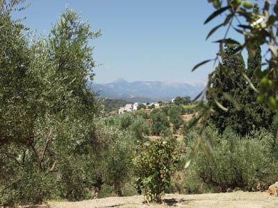 Gythion - Ausblick vom Biohof