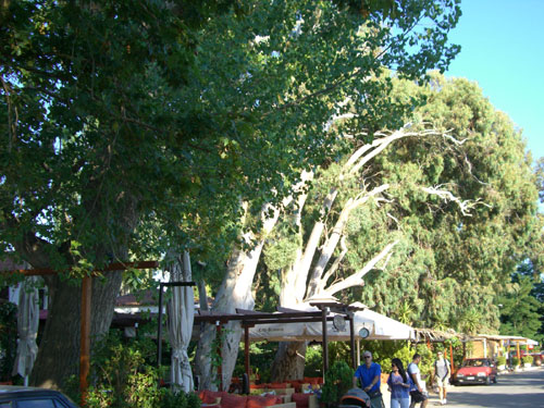 Straßenbild der Uferpromenade von Kala Nera.