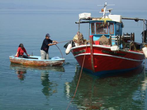 Die morgendliche Heimkehr des Fischers von Kalamos.