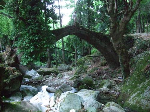 Die Bogenbrücke bei Tsangarada.