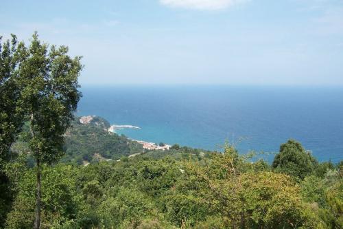 Blick vom saftig grünen, sanft abfallenden Osthang des Pilion auf die Bucht vor Agios Ioannis.