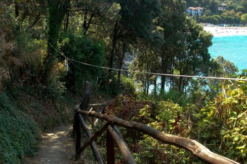 Fußweg zum Strand rüber nach Papa Nero